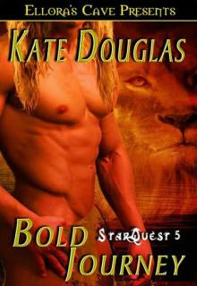 Bold Journey cover picture