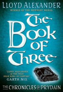 Book Of Three cover picture