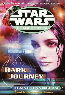 Dark Journey cover picture
