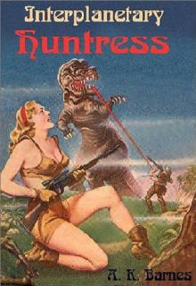 Interplanetary Huntress cover picture