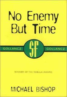 No Enemy But Time cover picture