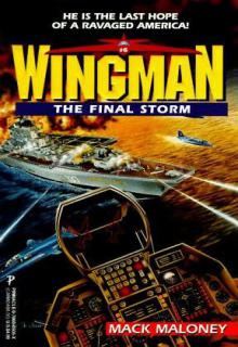 The Final Storm cover picture