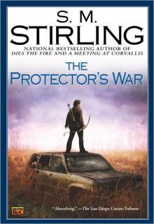The Protector's War cover picture