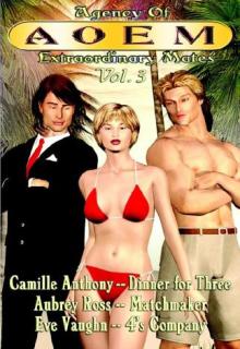 Agency Of Extraordinary Mates: 4saken book cover