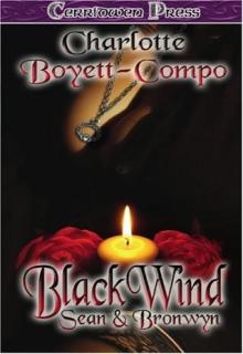 Blackwind book cover