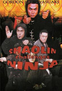 Challenge of the Ninja cover picture