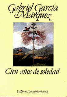 Cien AÃ±os de Soledad cover picture