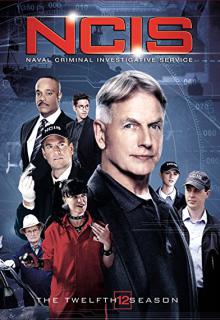 NCIS Season 12 cover picture