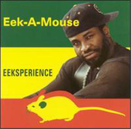 Eeksperience