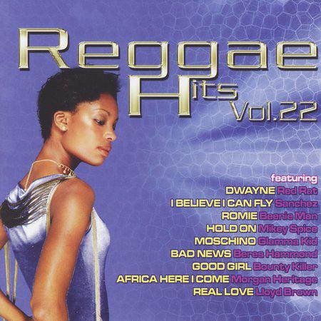 Reggae Hits Vol 22