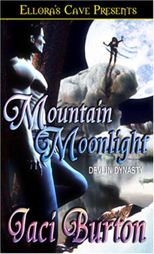 Mountain Moonlight