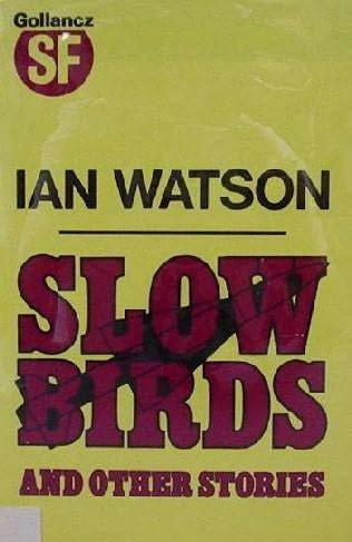 Slow Birds