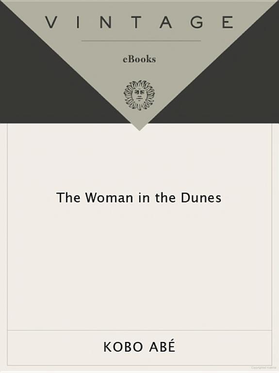 The Woman In The Dunes