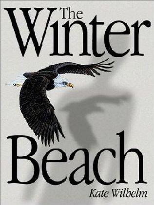 Winter Beach