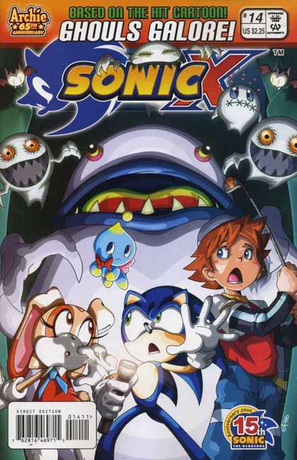 Sonic X 014
