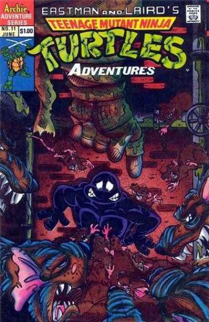Teenage Mutant Ninja Turtles Adventures 11