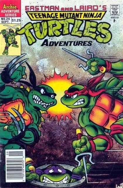 Teenage Mutant Ninja Turtles Adventures 24