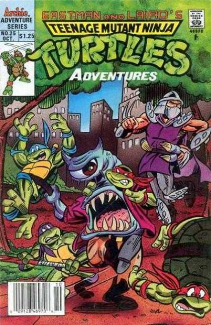 Teenage Mutant Ninja Turtles Adventures 25