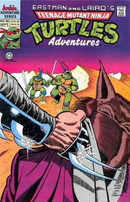 Teenage Mutant Ninja Turtles Adventures 36