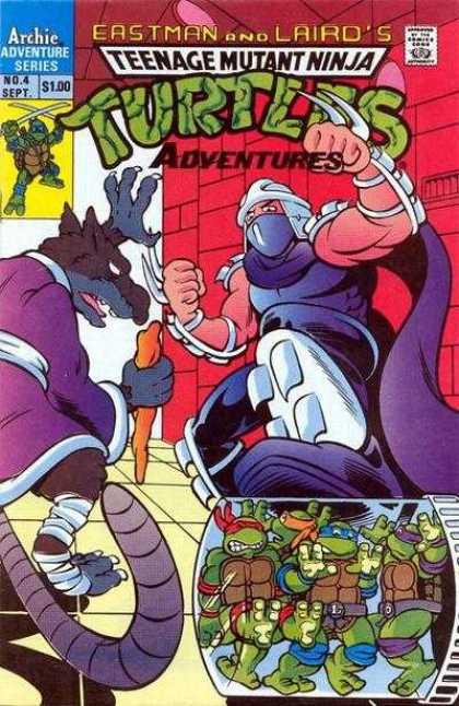 Teenage Mutant Ninja Turtles Adventures 04