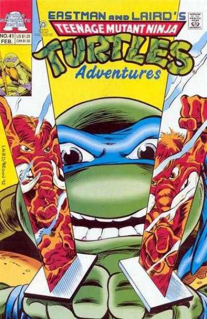 Teenage Mutant Ninja Turtles Adventures 41