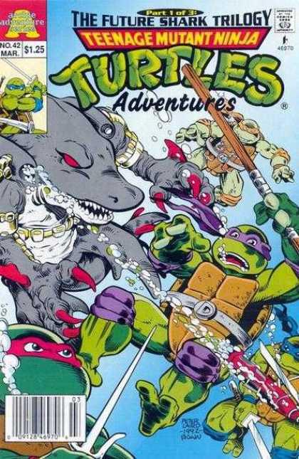 Teenage Mutant Ninja Turtles Adventures 42