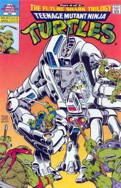 Teenage Mutant Ninja Turtles Adventures 43
