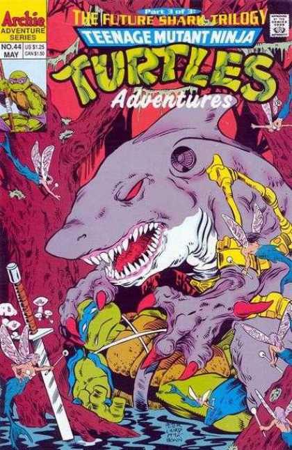 Teenage Mutant Ninja Turtles Adventures 44