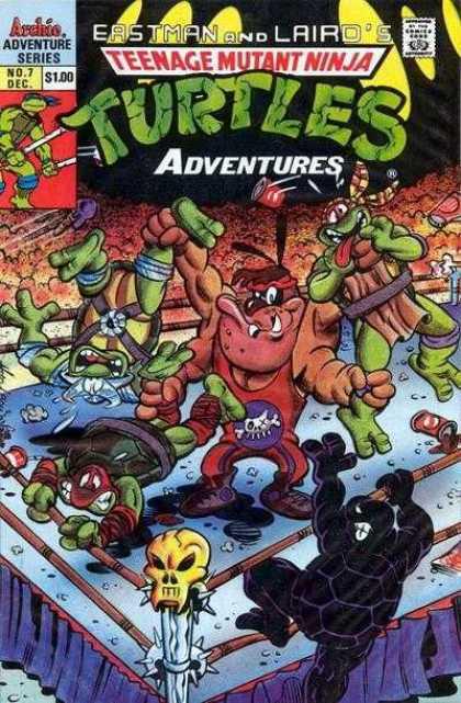 Teenage Mutant Ninja Turtles Adventures 07