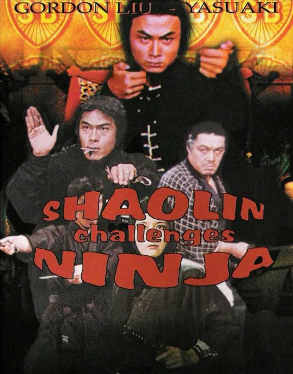 Challenge of the Ninja
