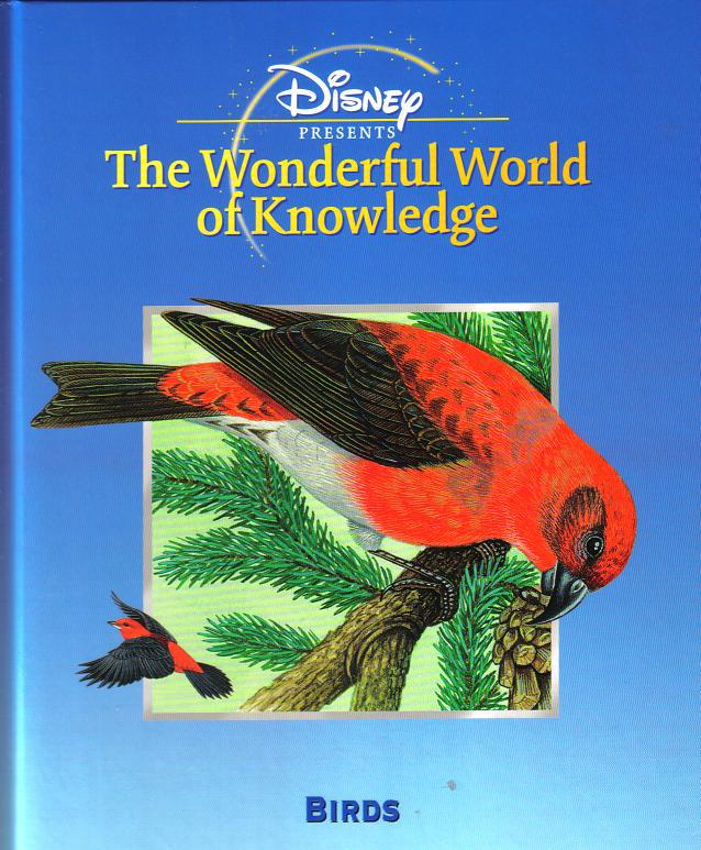 Birds