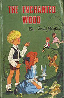The Enchanted Wood