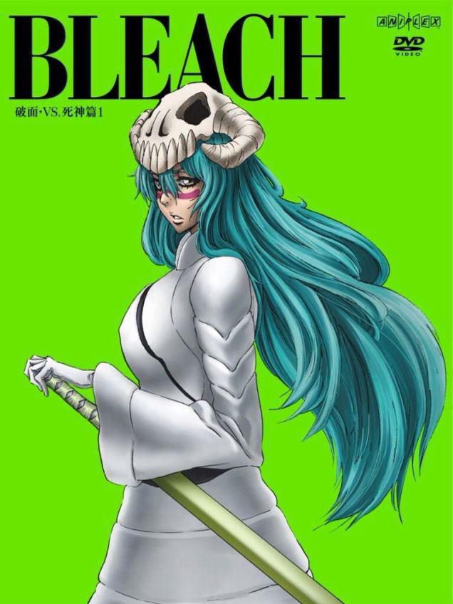 Bleach Season 10 The Arrancar 3 Arrancar vs Shinigami