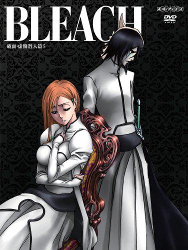 Bleach Season 7 The Hueco Mundo