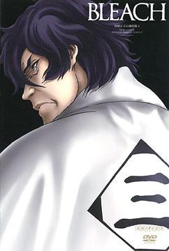 Bleach Season 9 The New Captain Shusuke Amagai