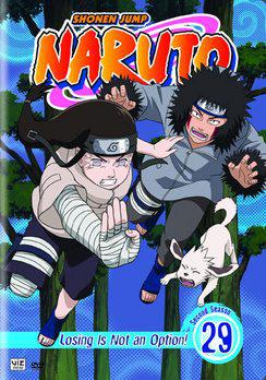 Naruto Volume 29