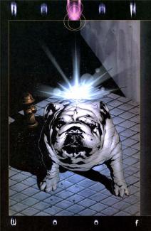 Woof cover picture