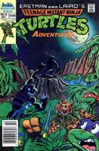 Teenage Mutant Ninja Turtles Adventures 15 cover picture