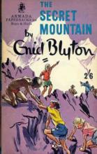 The Secret Mountain cover picture