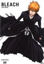 Bleach Season 13: Zanpakuto: The Alternate Tale cover picture