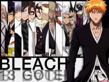 Bleach Season 15: Gotei 13 Invading Army cover picture