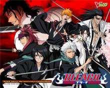 Bleach Season 16: Lost Substitute Shinigami cover picture