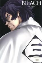 Bleach Season 9: The New Captain Shusuke Amagai cover picture