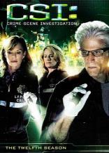 CSI Season 12 cover picture