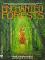 Enchanted Forests cover picture