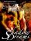 Shadow Dreams book cover