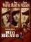 Rio Bravo cover picture