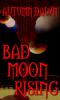 Bad Moon Rising cover picture