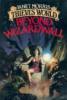 Beyond Wizardwall cover picture