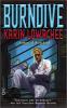 Burndive cover picture
